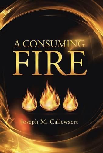 Cover image for A Consuming Fire
