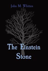 Cover image for The Einstein Stone