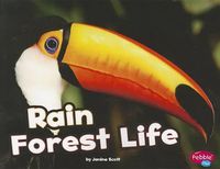 Cover image for Rain Forest Life (Habitats Around the World)