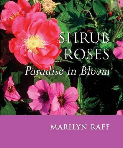 Cover image for Shrub Roses: Paradise in Bloom