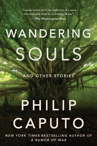 Cover image for Wandering Souls