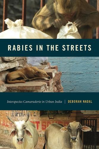 Cover image for Rabies in the Streets: Interspecies Camaraderie in Urban India