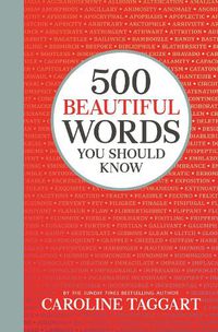 Cover image for 500 Beautiful Words You Should Know