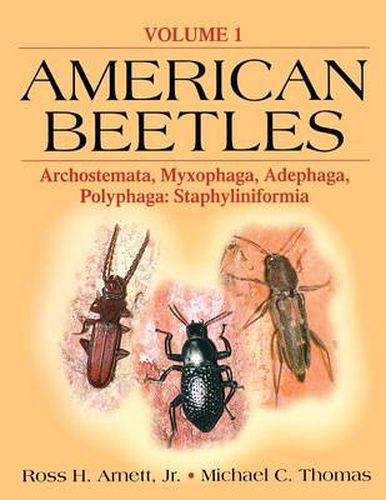 Cover image for American Beetles, Volume I: Archostemata, Myxophaga, Adephaga, Polyphaga: Staphyliniformia