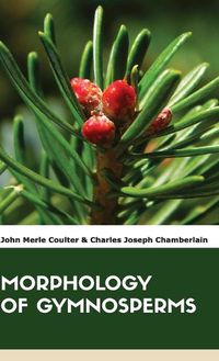 Cover image for Morphology of Gymnosperms