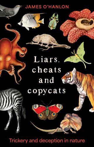 Cover image for Liars, cheats and copycats
