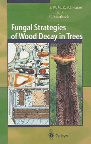 Fungal Strategies of Wood Decay in Trees