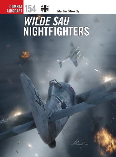 Cover image for Wilde Sau Nightfighters