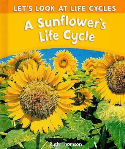 Cover image for A Sunflower's Life Cycle