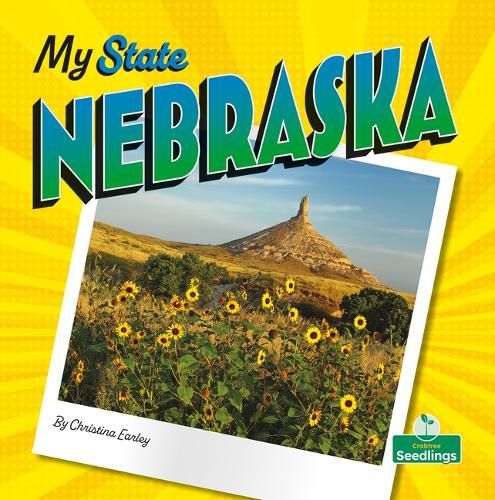 Cover image for Nebraska