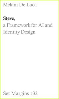 Cover image for Steve: A Framework for AI and Identity Design