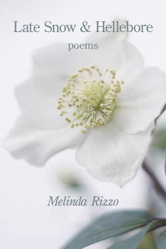 Cover image for Late Snow and Hellebore