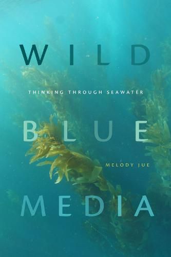 Cover image for Wild Blue Media: Thinking through Seawater