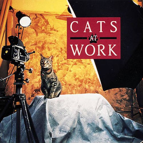 Working Cat