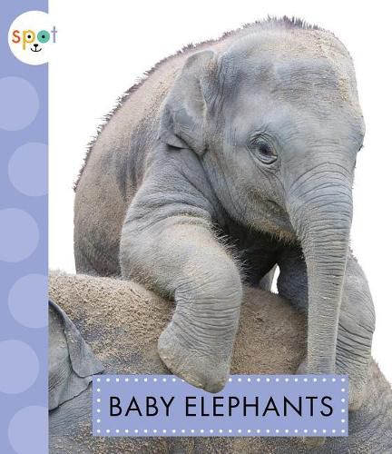 Cover image for Baby Elephants