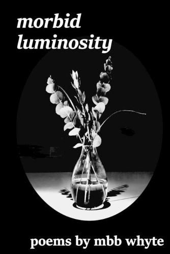 Cover image for Morbid Luminosity