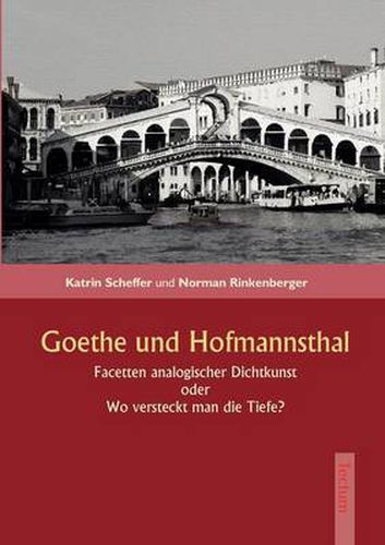 Cover image for Goethe und Hofmannsthal