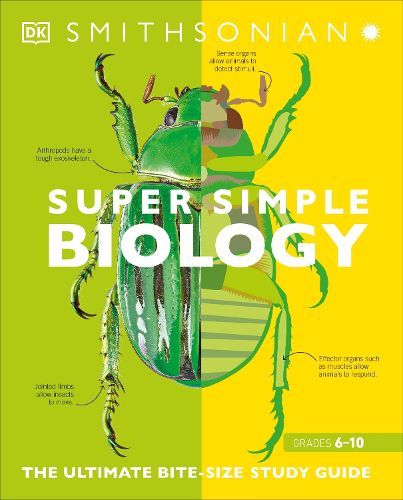 Cover image for Super Simple Biology: The Ultimate Bitesize Study Guide