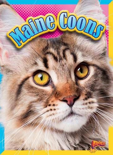 Cover image for Maine Coons