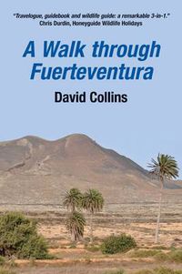 Cover image for A Walk Through Fuerteventura