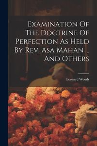 Cover image for Examination Of The Doctrine Of Perfection As Held By Rev. Asa Mahan ... And Others