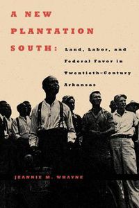 Cover image for A New Plantation South: Land, Labor, and Federal Favor in Twentieth-Century Arkansas