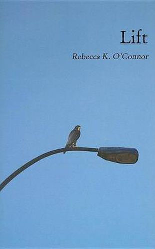 Cover image for Lift