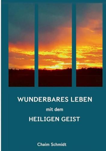 Cover image for Wunderbares Leben mit dem Heiligen Geist