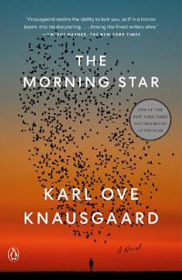 Cover image for The Morning Star: A Novel