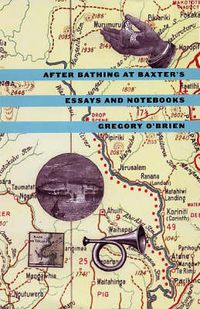 Cover image for After Bathing at Baxter's: Essays and Notebooks