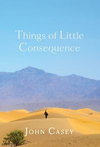 Cover image for Things of Little Consequence