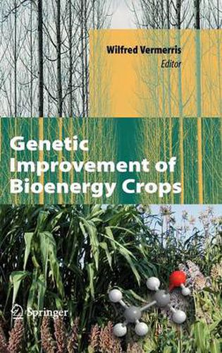 Cover image for Genetic Improvement of Bioenergy Crops