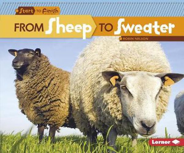 Cover image for From Sheep to Sweater