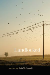 Cover image for Landlocked