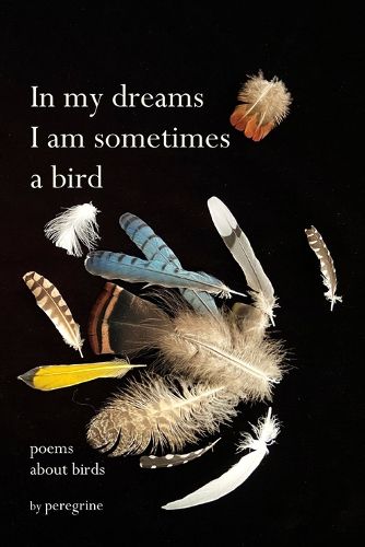 Cover image for in my dreams I am sometimes a bird