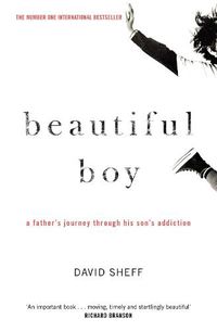 Cover image for Beautiful Boy: A Father's Journey Through His Son's Addiction