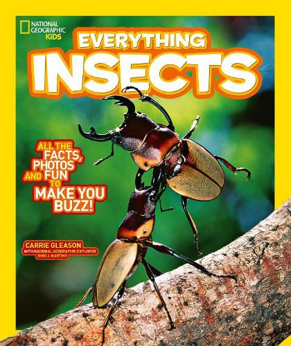 Cover image for Everything: Insects