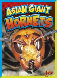 Cover image for Asian Giant Hornets