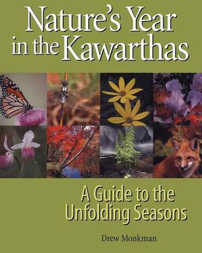 Cover image for Nature's Year in the Kawarthas: A Guide to the Unfolding Seasons