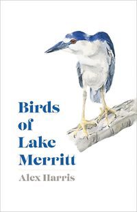 Cover image for Birds of Lake Merritt