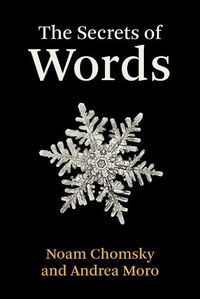 Cover image for The Secrets of Words