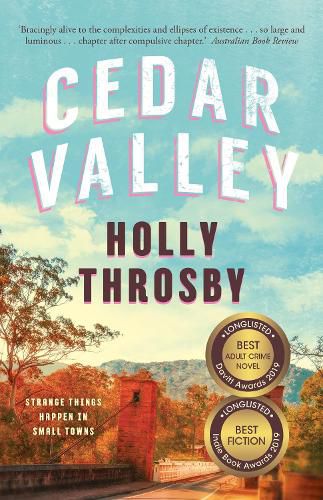 Cover image for Cedar Valley