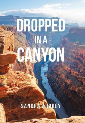 Cover image for Dropped in a Canyon
