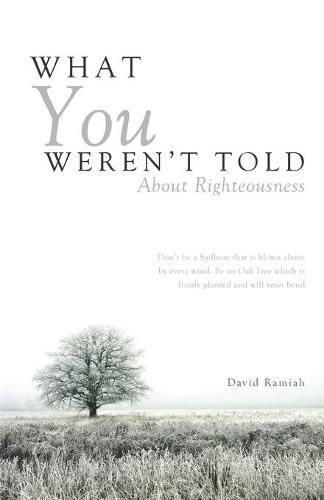 Cover image for What You Weren't Told About Righteousness
