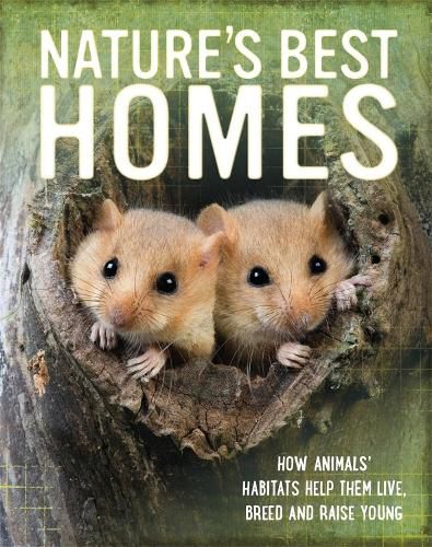 Cover image for Nature's Best: Homes