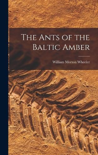 The Ants of the Baltic Amber