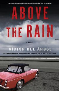 Cover image for Above The Rain: A Novel