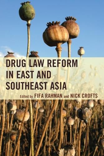 Cover image for Drug Law Reform in East and Southeast Asia