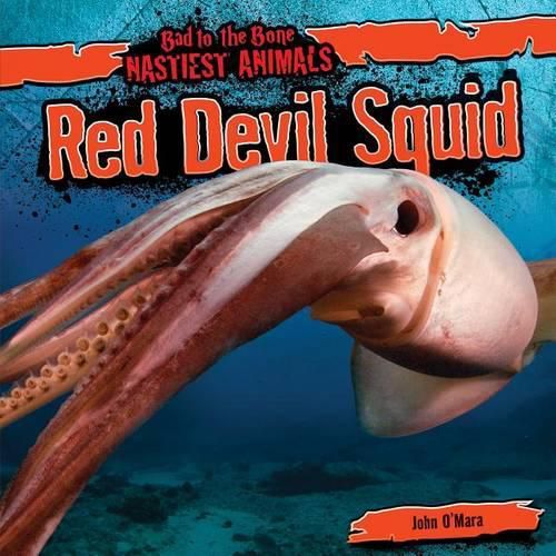 Cover image for Red Devil Squid