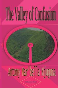 Cover image for The Valley of Confusion